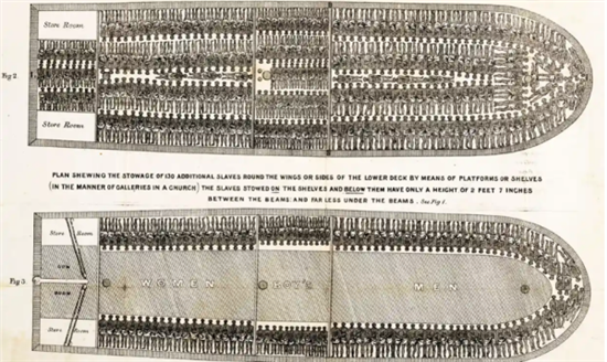 英国运奴船平面图，显示奴隶们是如何被“储存”的。